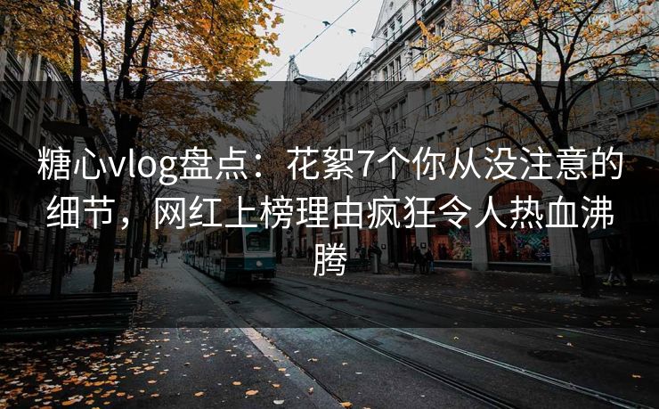 糖心vlog盘点：花絮7个你从没注意的细节，网红上榜理由疯狂令人热血沸腾